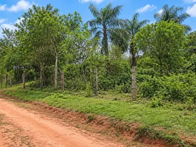 Terreno rural à venda em Dr. Juan Manuel Frutos, Caaguazú 3