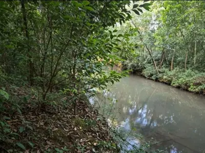 Terreno rural à venda em Encarnación, Itapúa 3