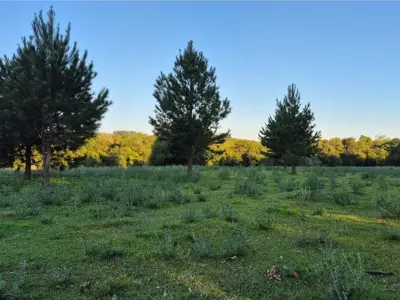 Terreno rural à venda em Encarnación, Itapúa 4