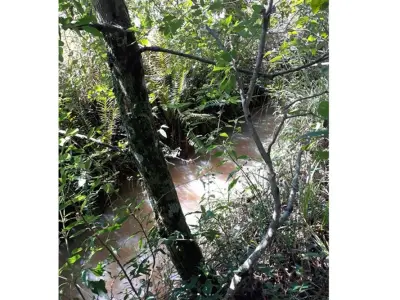 Terreno rural en venta en Mbaracayú, Alto Paraná 4
