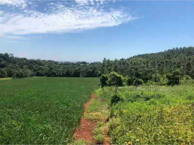 Terreno rural en venta en Nueva Alborada, Itapúa 3