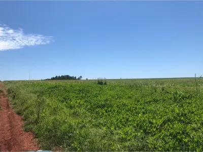 Terreno rural en venta en Nueva Alborada, Itapúa 4