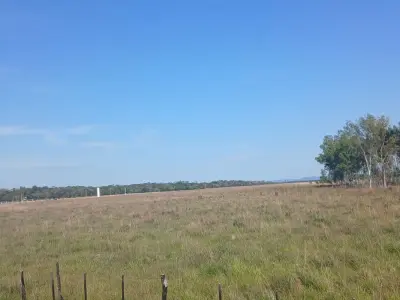 Rural land for sale in San José de los Arroyos, Caaguazú 5