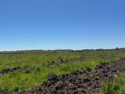 Terreno rural en venta en San Juan Nepomuceno, Caazapá 2