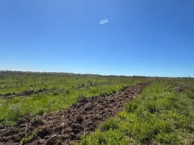 Terreno rural en venta en San Juan Nepomuceno, Caazapá 3