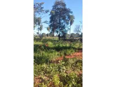 Rural land for sale in San Pedro, 81,359 m² 2