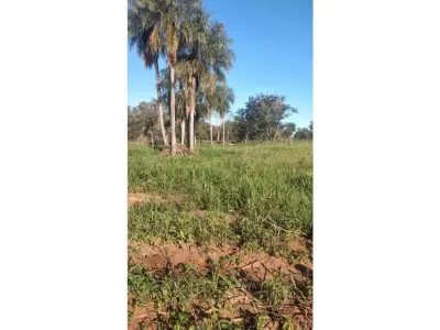 Rural land for sale in San Pedro, 81,359 m² 3