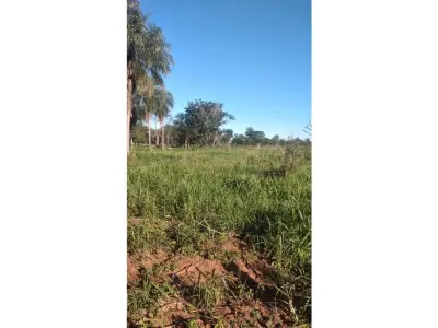 Rural land for sale in San Pedro, 81,359 m² 4
