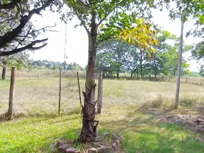 Terreno rural à venda em Ypané, Central 3