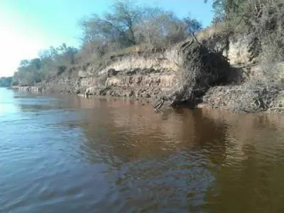 Riverfront Land for Sale on Río Paraguay — 245 Hectares, Ñeembucú 2