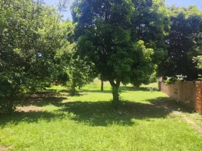 Terreno à Beira de Estrada à Venda em Salado, Limpio 3