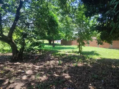 Terreno à Beira de Estrada à Venda em Salado, Limpio 4