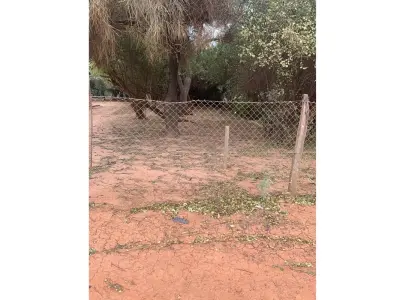 Terreno titulado en venta en Loma Plata, Boquerón 3
