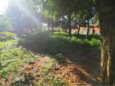 Terrenos à venda em Areguá, Estanzuela 2