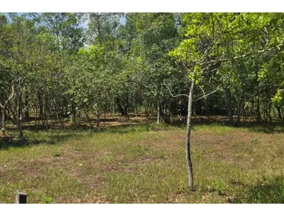 Terrenos en venta en Atyra, Cordillera 4