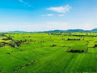5 terrenos à venda em Cocueré, Aregua 4
