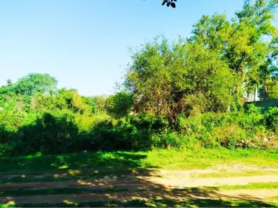 Terrenos à venda em El Peñón, Limpio 2
