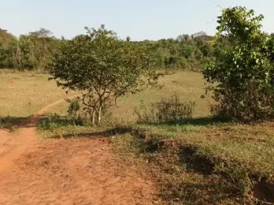Terrenos à Venda em Guazú Virá, Itauguá 2