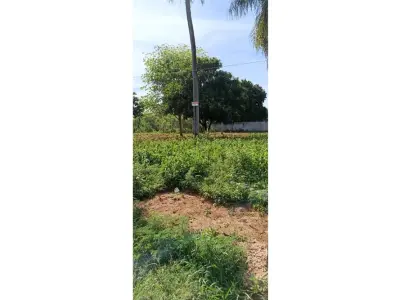 Terrenos à venda em Itauguá, Central 3