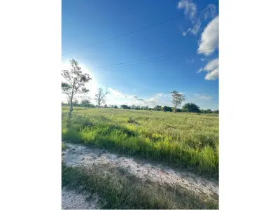 Land for sale in José Falcón, Presidente Hayes 4
