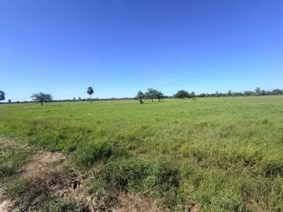 Land for sale in José Falcón, Presidente Hayes 3