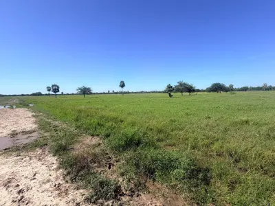Land for sale in José Falcón, Presidente Hayes 4