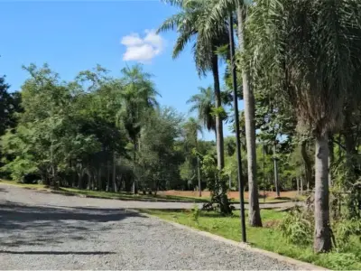 Land for sale in La Sierra, San Bernardino 4