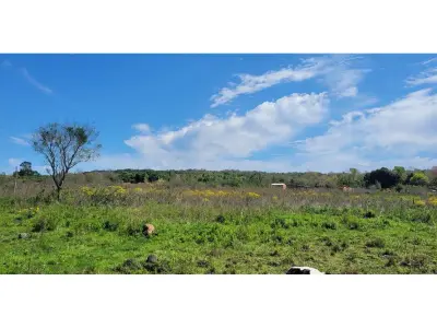 Terrenos à venda em Loma Grande, Cordillera 2