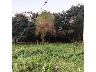 Terrenos à venda em Loma Merlo, Luque 4