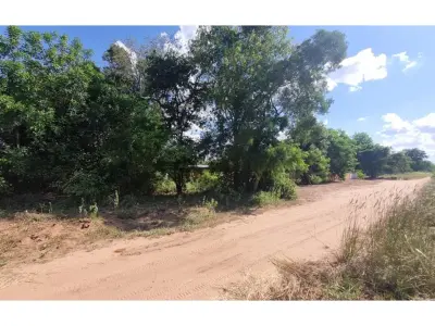 Terrenos en venta en Loma Plata, Boquerón 3