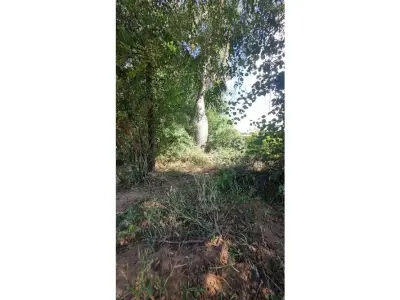 Terrenos en venta en Loma Plata, Boquerón 5
