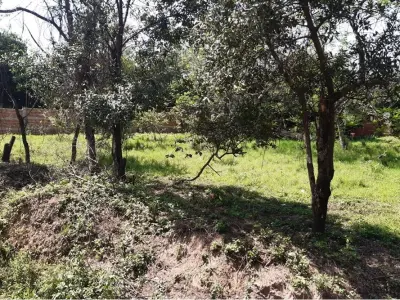 Terrenos à venda em Luque, Central 4