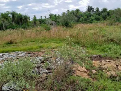 Terrenos à venda em Oyopoi, Escobar, Paraguarí 4