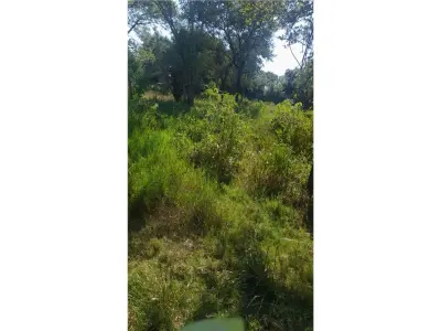 Terrenos à venda em Pilar, Ñeembucú 4