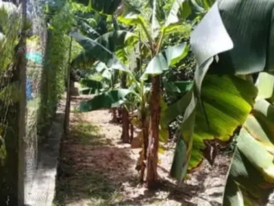 Terrenos en venta en Piribebuy, Cordillera 2
