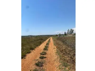 Terrenos à venda em San Bernardino, Ypacaraí 4
