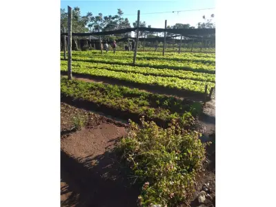 Terrenos à venda em San Miguel, Julián Augusto Saldivar 2