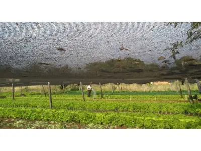 Terrenos à venda em San Miguel, Julián Augusto Saldivar 5
