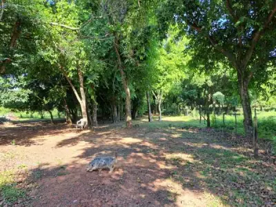 Terrenos en venta en Valle Pucú, Areguá — 5 lotes, 1.700 m² 3