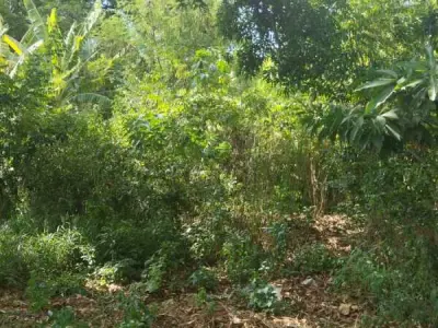 Terrenos en venta en Ycua Caranday, Luque 2