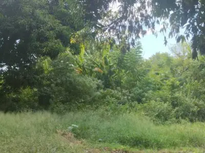 Terrenos en venta en Ycua Caranday, Luque 4
