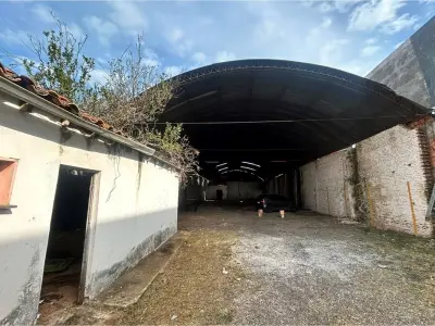 Tinglado comercial en alquiler en Fernando de la Mora Norte 3