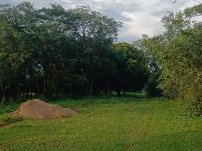 Three Plots for Sale in Guazú Vira, Itauguá 2