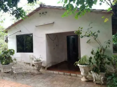 Three Adjacent Properties for Sale in Yaguarón, Paraguarí 3