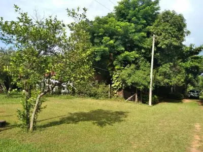 Three Adjacent Properties for Sale in Yaguarón, Paraguarí 4