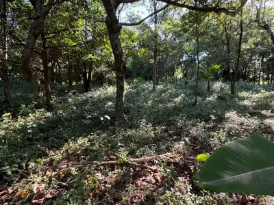 Three lots for sale (together or individually), Km 22, Minga Guazú 2