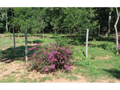 Three adjoining lots for sale in Atyrá, Cordillera 2