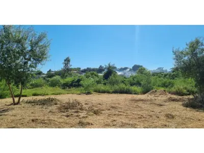 Tres terrenos juntos en venta en Remanso, Mariano Roque Alonso 3
