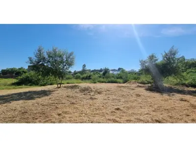 Tres terrenos juntos en venta en Remanso, Mariano Roque Alonso 4