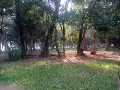 Terreno rural de 20 hectáreas en Corpus Cristhi 4